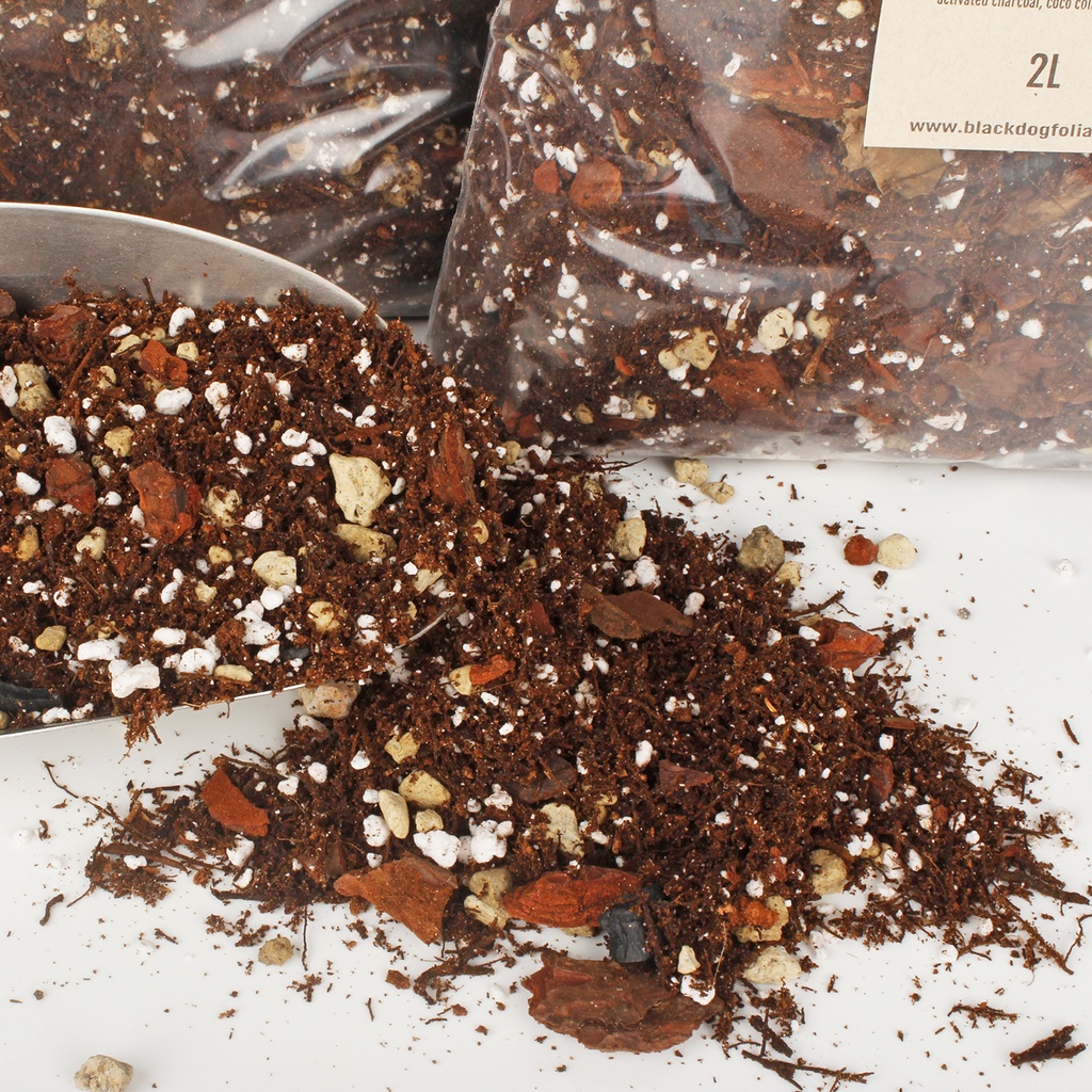 'Fern Fairy' Premium Chunky Tree Fern Aroid Potting Mix