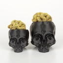 'Brain Cactus' Mammillaria Elongata Crestata in Skull Planter