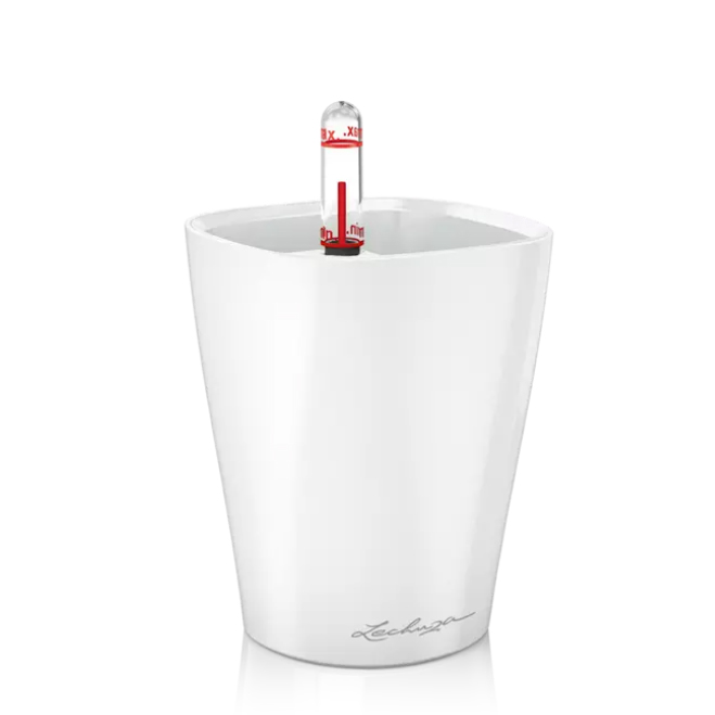 Lechuza Mini Deltini self-watering planter