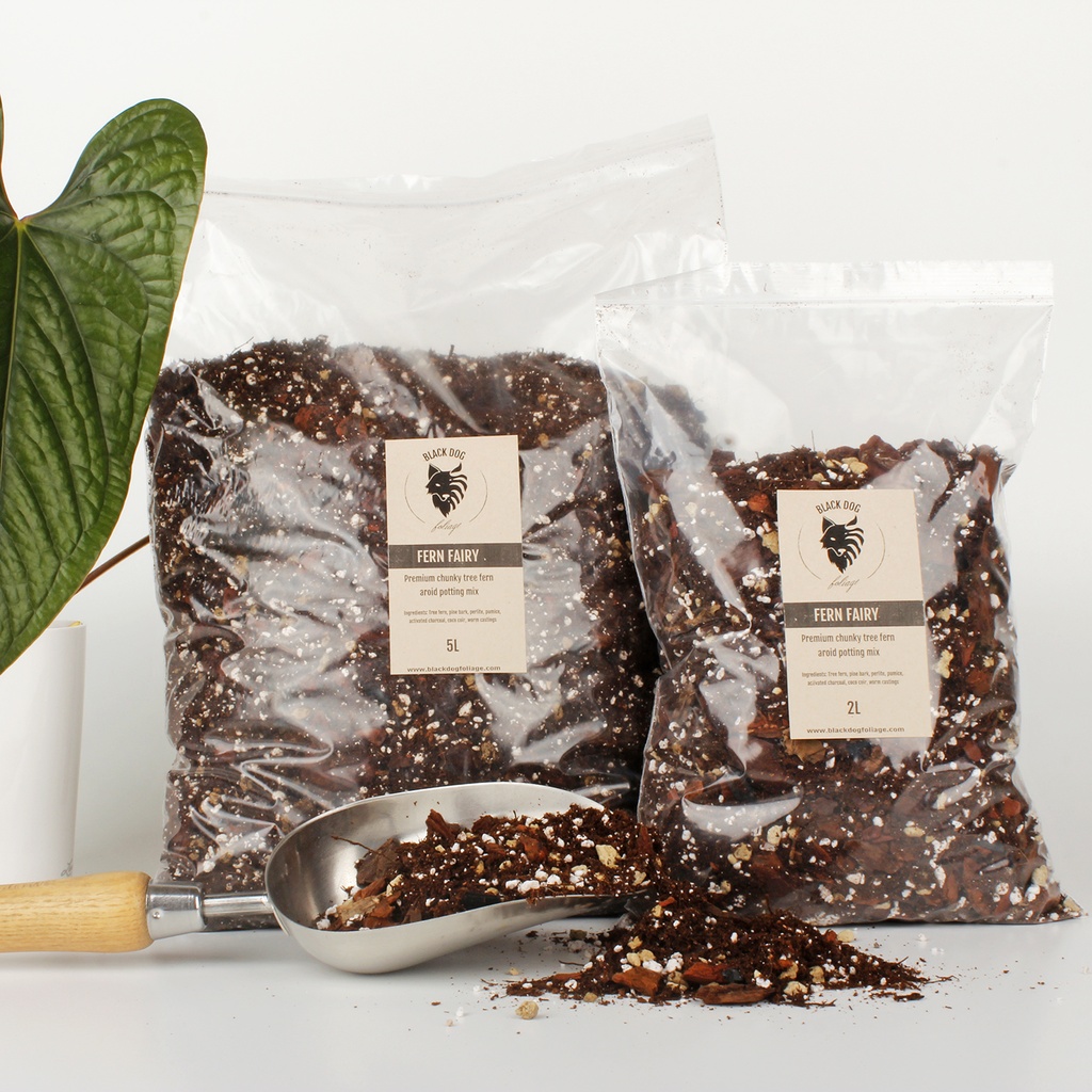 'Fern Fairy' Premium Chunky Tree Fern Aroid Potting Mix