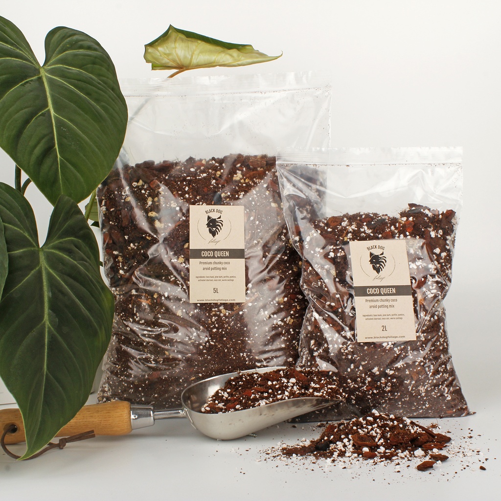 'Coco Queen' Premium Aroid Coco Potting Mix