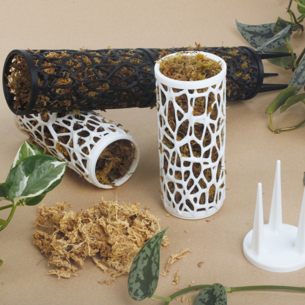 Moe the Moss Pole Size M