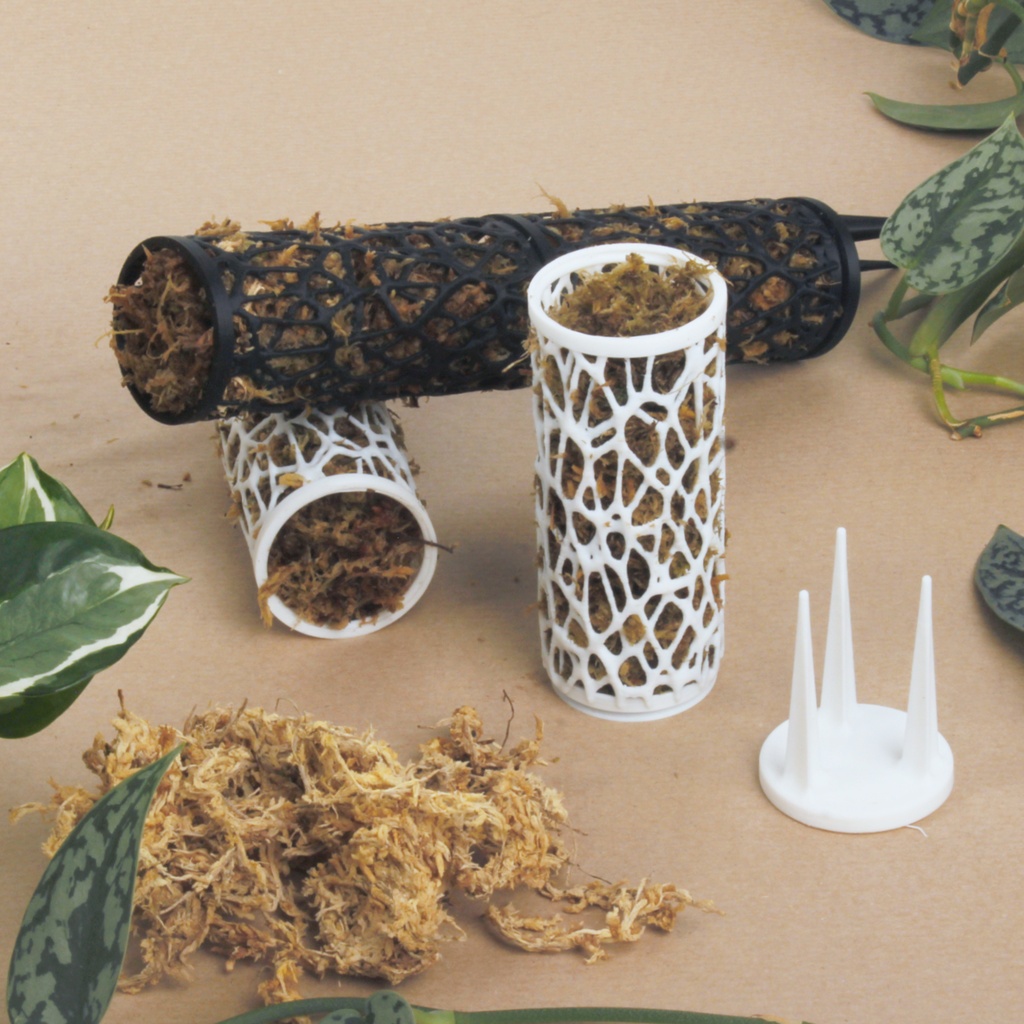 Moe the Moss Pole Size S