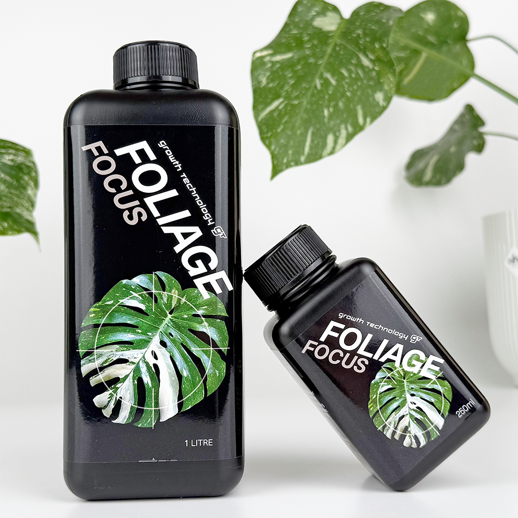 Growth Technology Foliage Focus