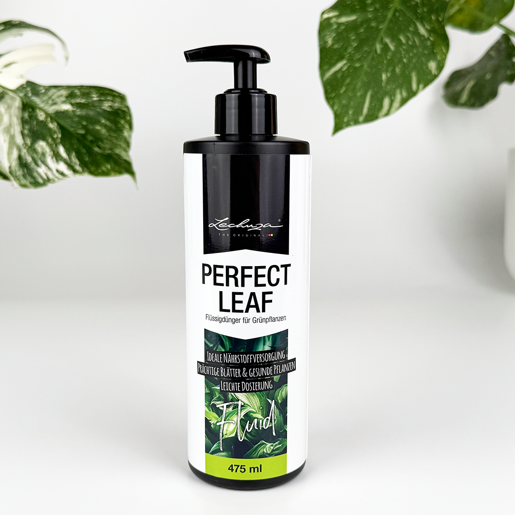 Lechuza Perfect Leaf liquid fertilizer