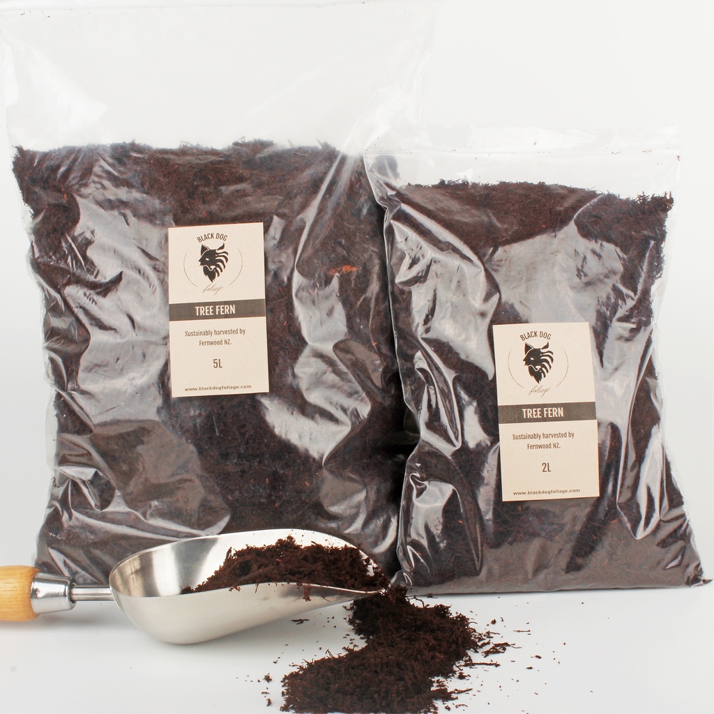 Vlakna drevesne praproti - Tree fern fiber