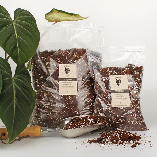 'Coco Queen' Premium Aroid Coco Potting Mix