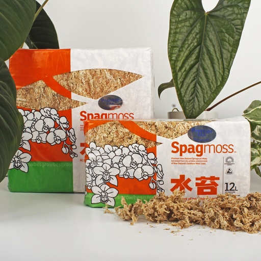 Šotni mah Spagmoss Besgrow Premier AAA