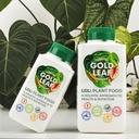 Liquid Gold Leaf